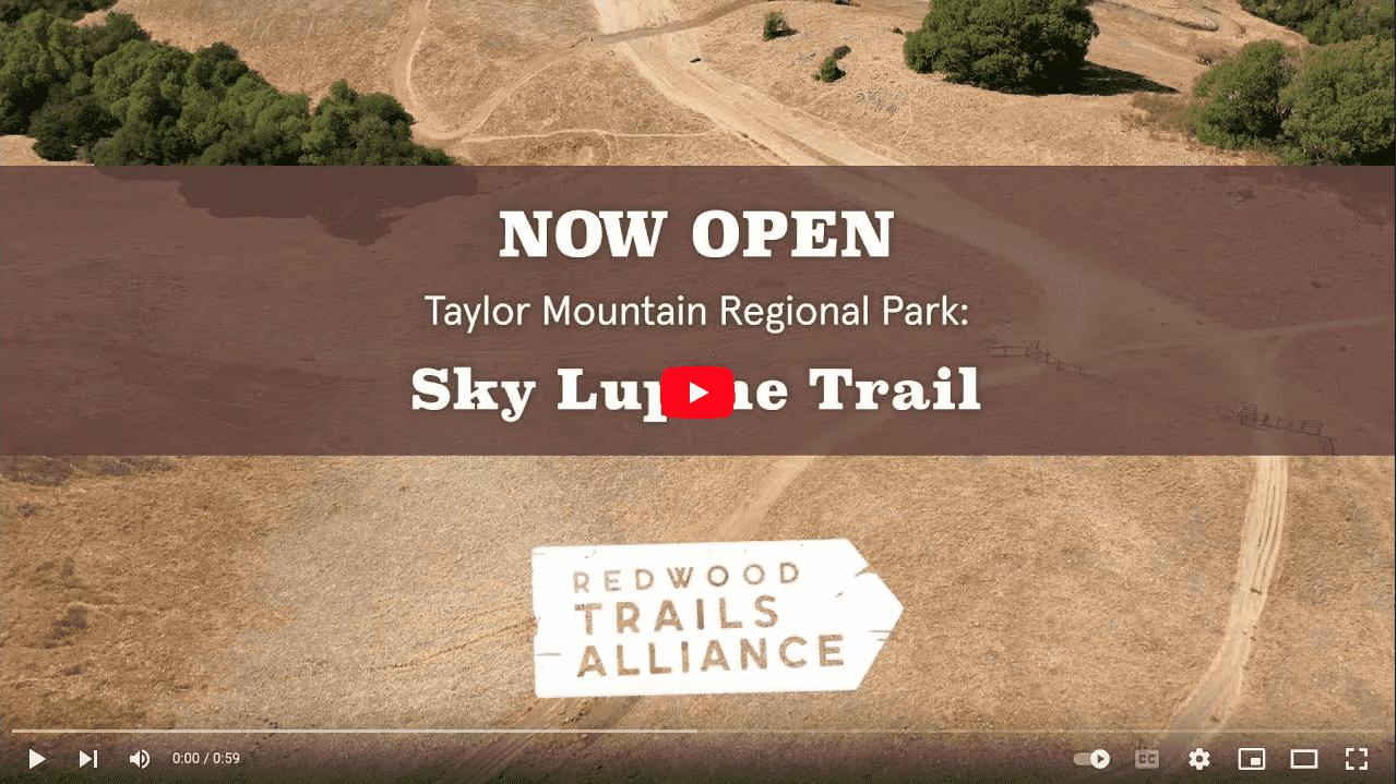 Sky Lupine Trail Open: Taylor Mountain Regional Park