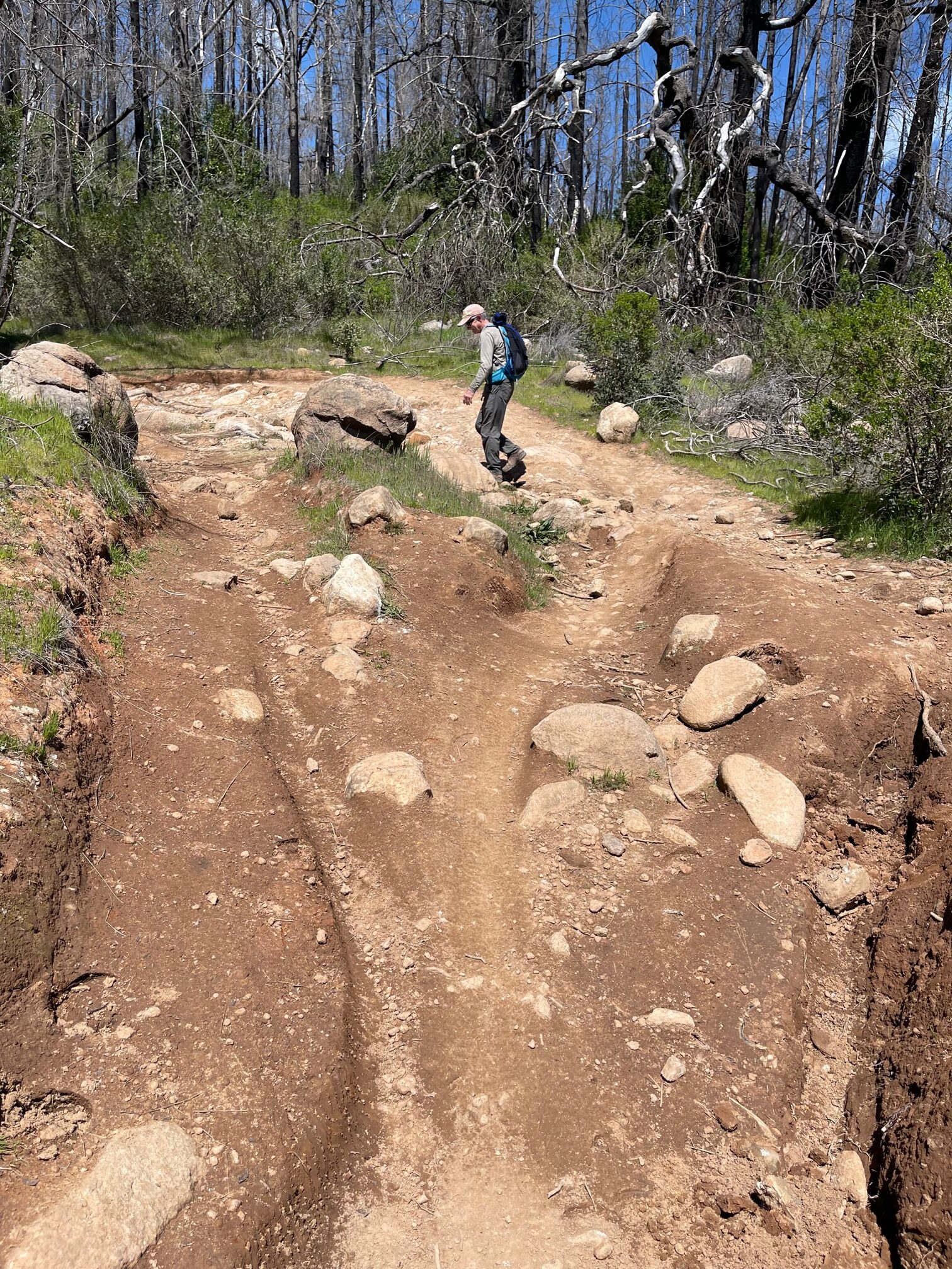 Trail Assessments