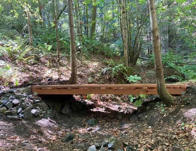 Bridge in Monte Rio Redwoods Regional Park