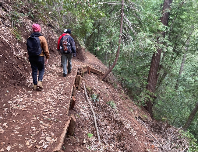 Hikers at Monte Rio Redwoods Regional Park