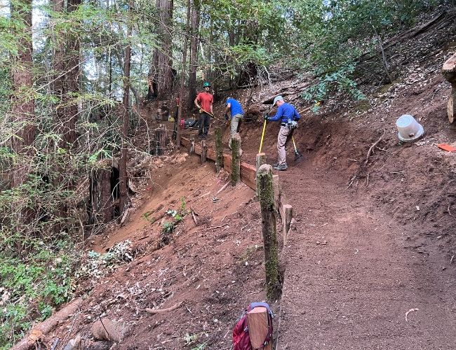 Trail crew working at Monte Rio Redwoods Regional Park